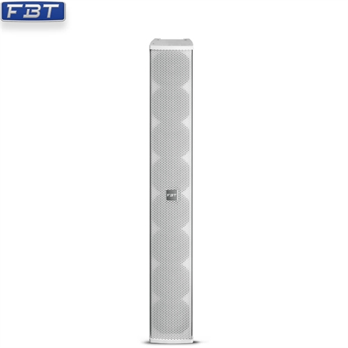 Loa FBT VERTUS CLA 803T 4